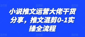 小说推文运营大佬干货分享，推文混剪0-1实操全流程-旺仔资源库