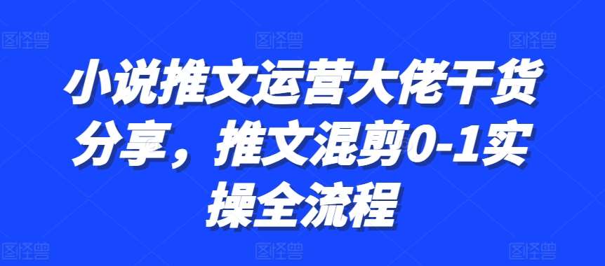 小说推文运营大佬干货分享，推文混剪0-1实操全流程-旺仔资源库