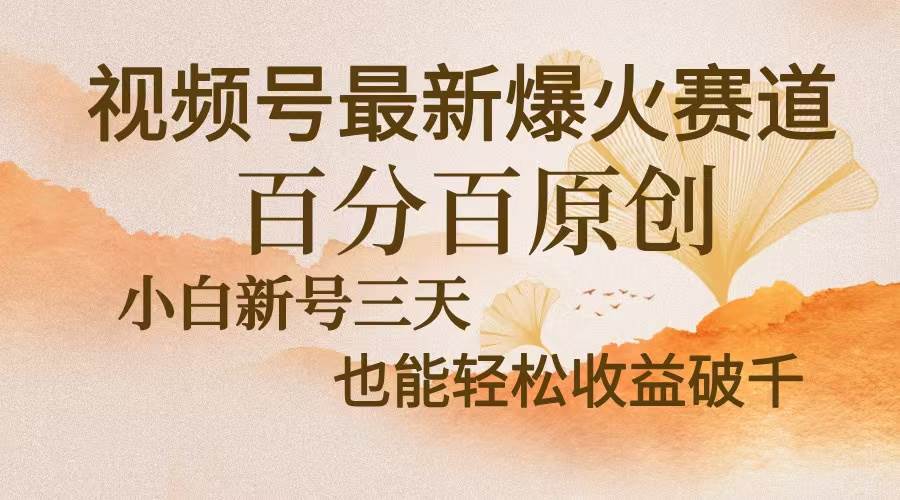 （13225期）视频号最新爆火赛道，中老年粉深信不疑，百分百原创，新号三天收益轻松…-旺仔资源库