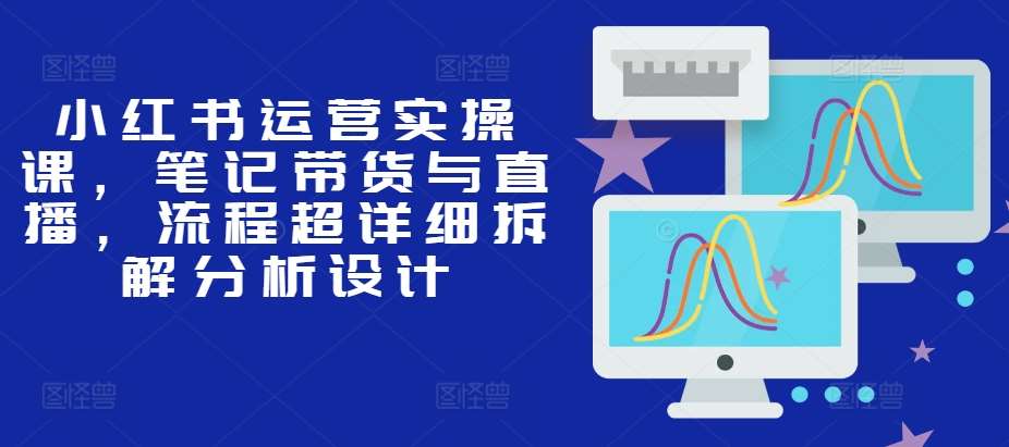 小红书运营实操课，笔记带货与直播，流程超详细拆解分析设计-旺仔资源库