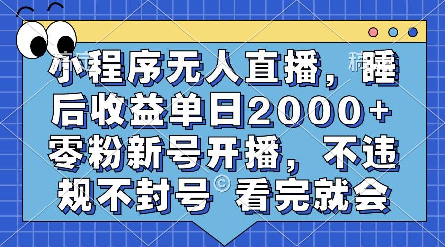 （13251期）小程序无人直播，睡后收益单日2000+ 零粉新号开播，不违规不封号 看完就会-旺仔资源库