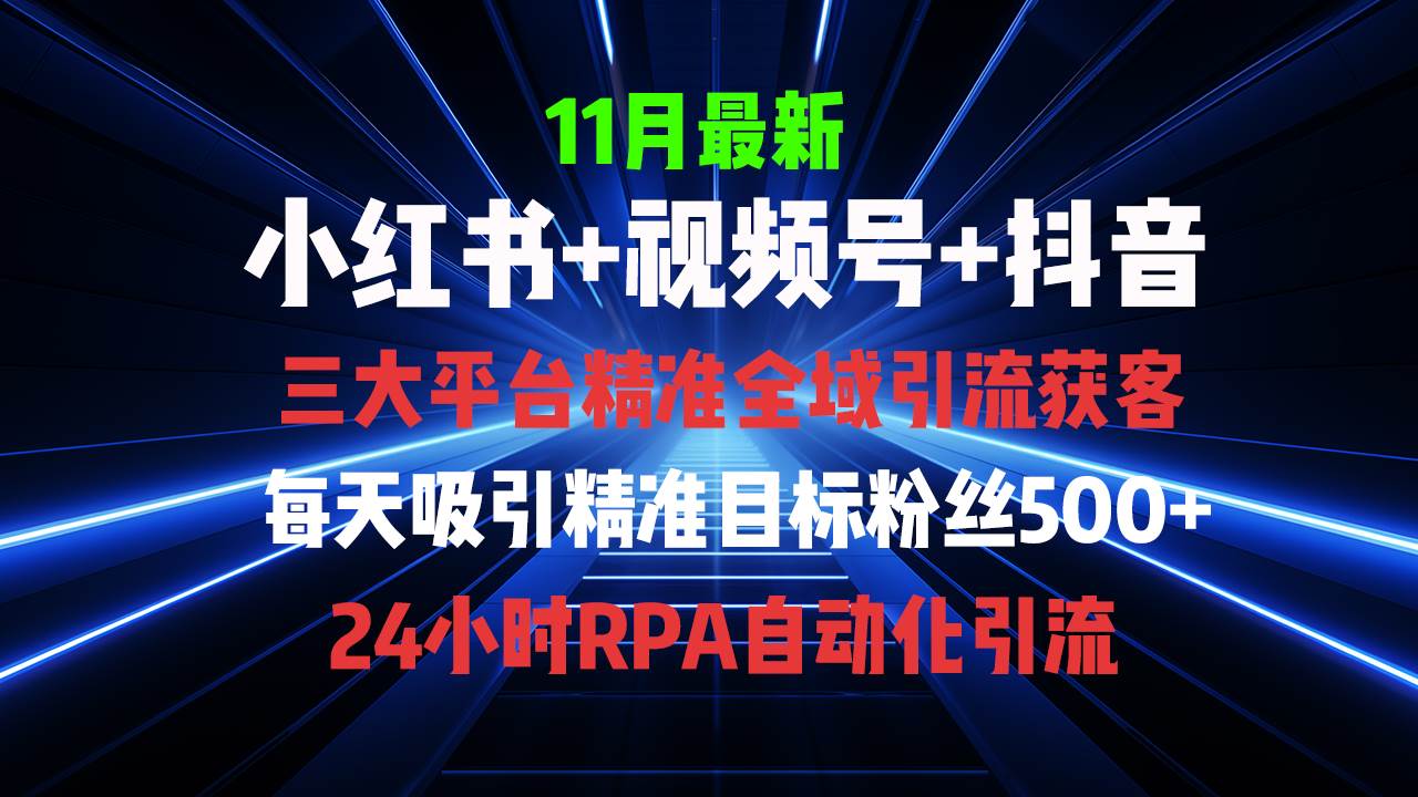 （13259期）全域多平台引流私域打法，小红书，视频号，抖音全自动获客，截流自…-旺仔资源库