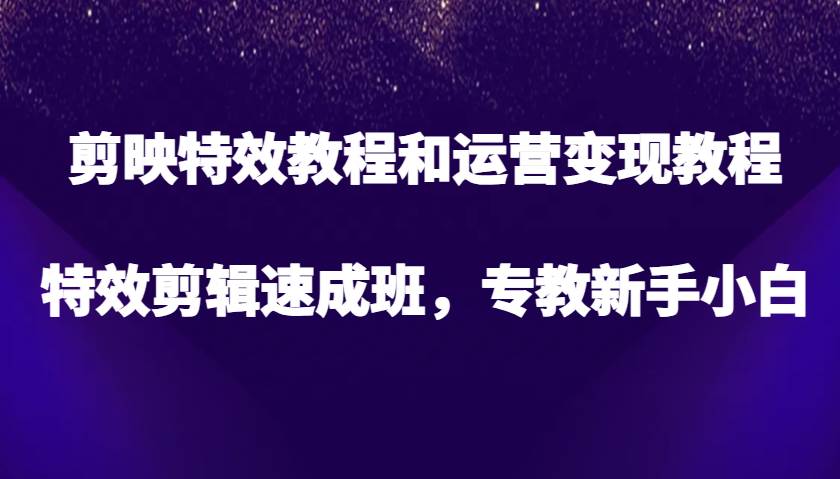 剪映特效教程和运营变现教程，特效剪辑速成班，专教新手小白-旺仔资源库