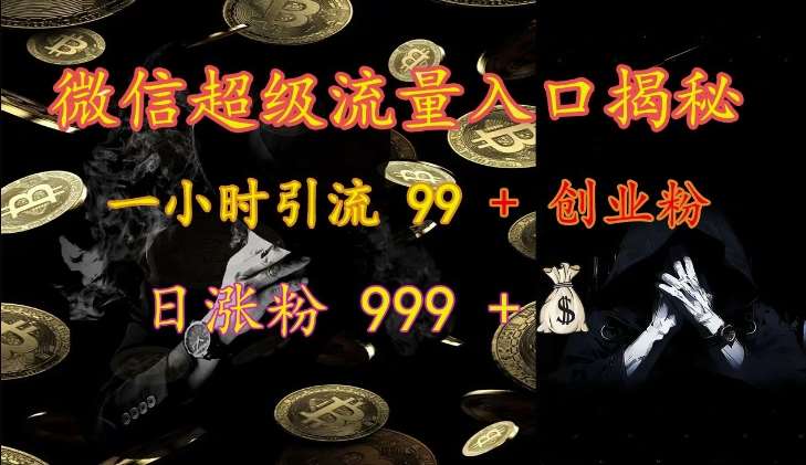 微信超级流量入口揭秘：一小时引流 99 + 创业粉，日涨粉 999 +-旺仔资源库