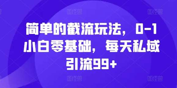 简单的截流玩法，0-1小白零基础，每天私域引流99+【揭秘】-旺仔资源库