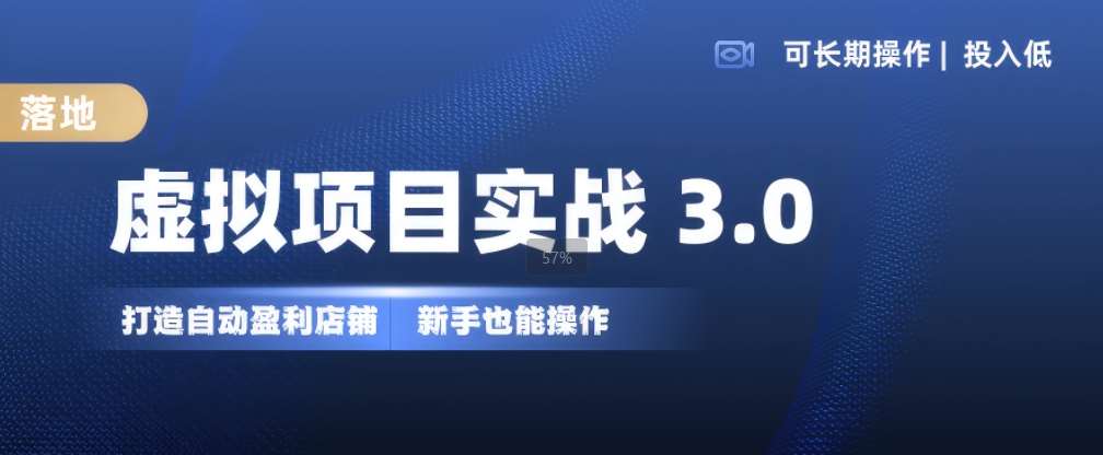 虚拟项目实战3.0，打造自动盈利店铺，可长期操作投入低，新手也能操作-旺仔资源库