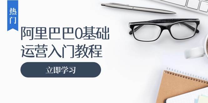 （13291期）阿里巴巴运营零基础入门教程：涵盖开店、运营、推广，快速成为电商高手-旺仔资源库