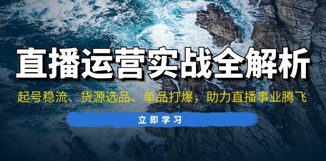 （13294期）直播运营实战全解析：起号稳流、货源选品、单品打爆，助力直播事业腾飞-旺仔资源库