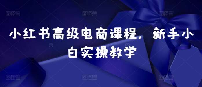 小红书高级电商课程，新手小白实操教学-旺仔资源库