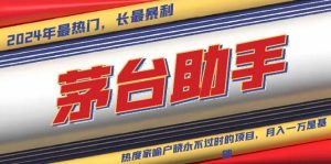 （13320期）魔法贵州茅台代理，永不淘汰的项目，抛开传统玩法，使用科技，命中率极…-旺仔资源库