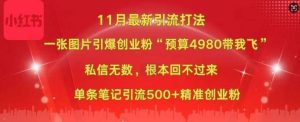 小红书11月最新图片打粉，一张图片引爆创业粉，“预算4980带我飞”，单条引流500+精准创业粉-旺仔资源库