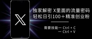 独家解密 X 里面的流量密码，复制粘贴轻松日引100+粉，精准迅速获客-旺仔资源库