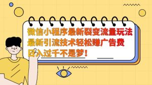 微信小程序最新裂变流量玩法,时间自由收益高轻松赚广告费,日入过千不是梦!-旺仔资源库