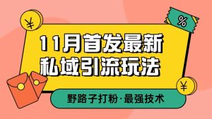 11月首发最新私域引流玩法，自动克隆爆款一键改写截流自热一体化 日引300+精准粉-旺仔资源库