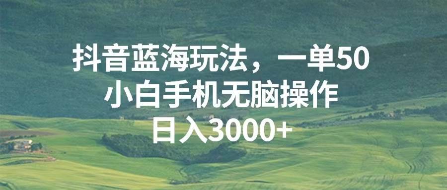 （13353期）抖音蓝海玩法，一单50，小白手机无脑操作，日入3000+-旺仔资源库