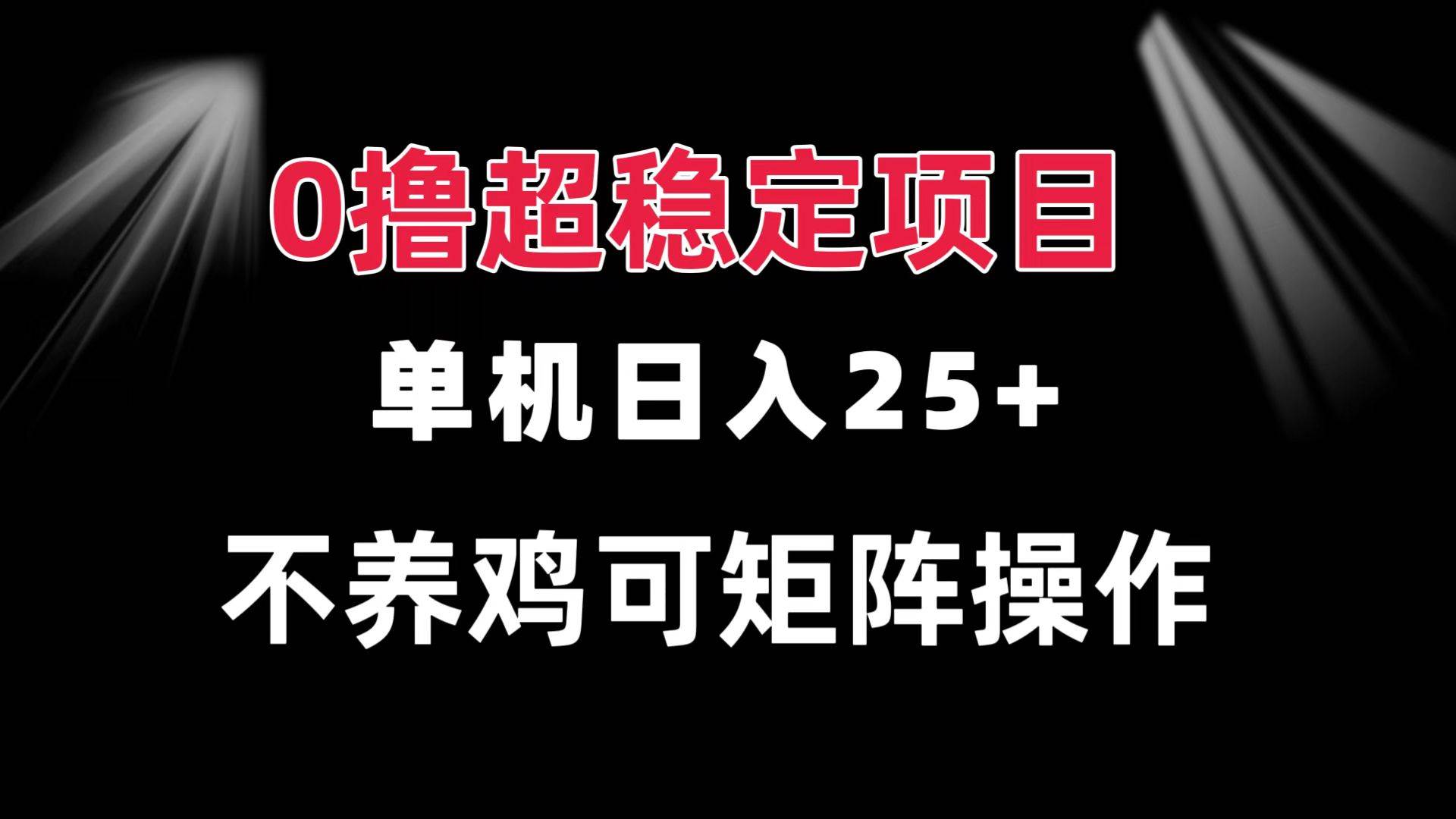 （13355期）0撸项目 单机日入25+ 可批量操作 无需养鸡 长期稳定 做了就有-旺仔资源库