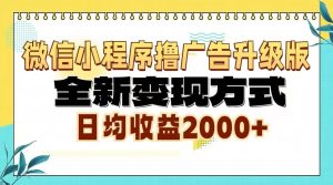 （13362期）微信小程序撸广告6.0升级玩法，全新变现方式，日均收益2000+-旺仔资源库
