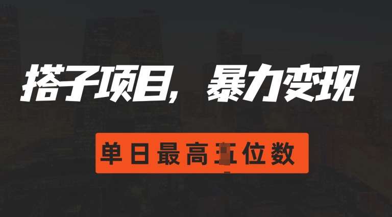 2024搭子玩法，0门槛，暴力变现，单日最高破四位数【揭秘】-旺仔资源库