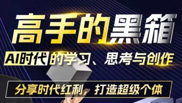 高手的黑箱：AI时代学习、思考与创作-分红时代红利，打造超级个体-旺仔资源库