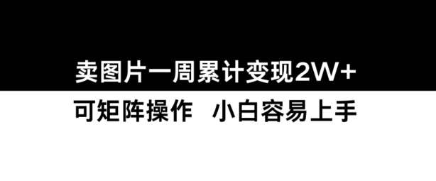 小红书【卖图片】一周累计变现2W+小白易上手-旺仔资源库