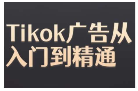 Tiktok Ads实操教程，Tiktok广告从入门到精通-旺仔资源库