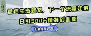 微信生态新宠小绿书：下一个流量洼地，日引500+精准创业粉，粉丝质量超高-旺仔资源库
