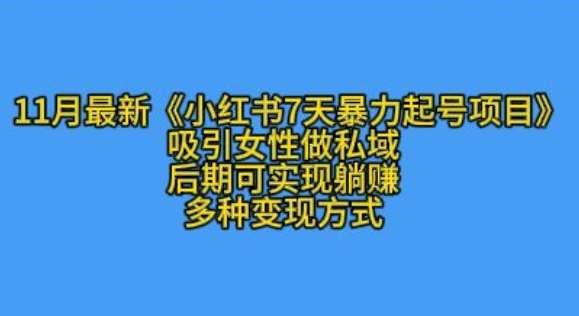 K总部落11月最新小红书7天暴力起号项目，吸引女性做私域【揭秘】-旺仔资源库