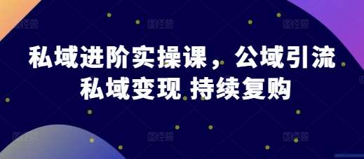 私域进阶实操课，公域引流 私域变现 持续复购-旺仔资源库