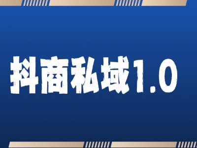 抖商服务私域1.0，抖音引流获客详细教学-旺仔资源库