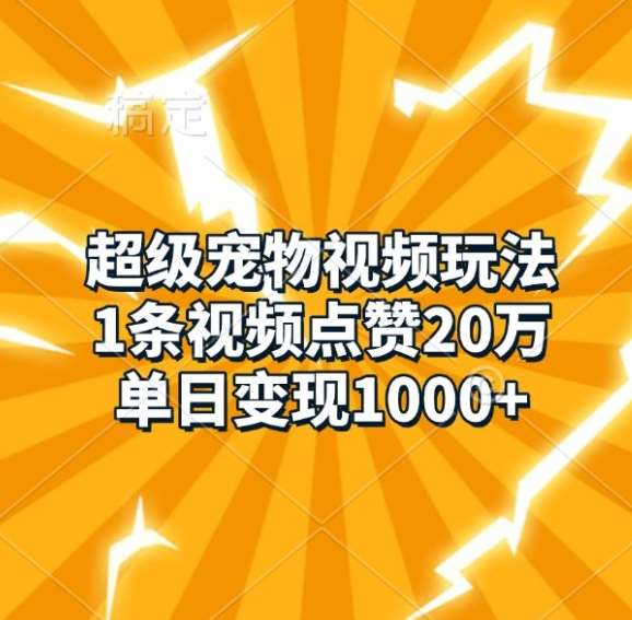 超级宠物视频玩法，1条视频点赞20万，单日变现1k-旺仔资源库