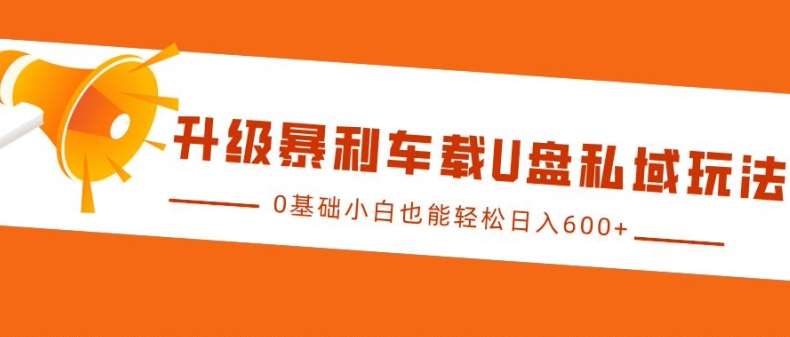 升级暴利车载U盘私域玩法，0基础小白也能轻松日入多张【揭秘】-旺仔资源库