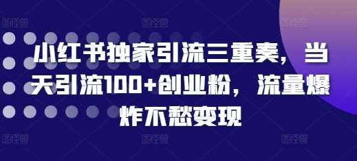 小红书独家引流三重奏，当天引流100+创业粉，流量爆炸不愁变现【揭秘】-旺仔资源库