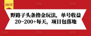 野路子头条撸金玩法，单号收益20~200+每天，项目包落地-旺仔资源库