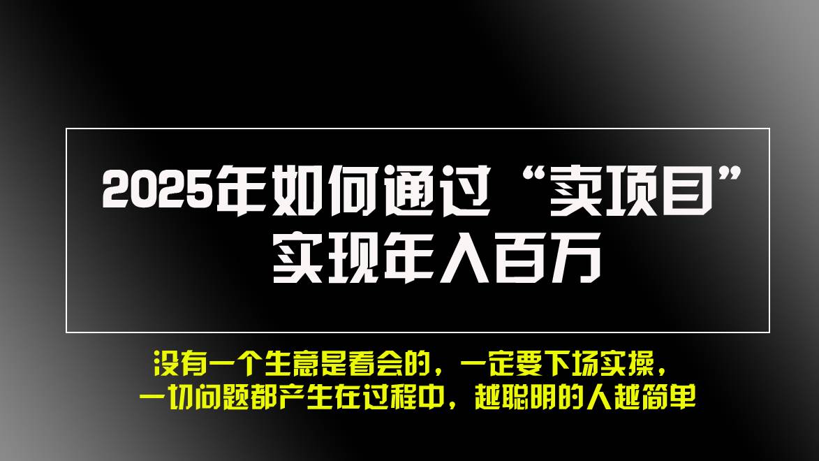 （13468期）2025年如何通过“卖项目”实现年入百万，做网赚必看！！-旺仔资源库