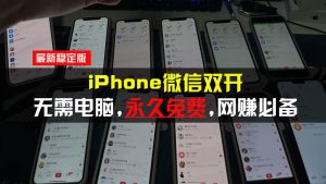 (13487期)iPhone微信双开无需电脑永久免费,适用所有iPhone手机-旺仔资源库