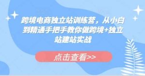 跨境电商独立站训练营，从小白到精通手把手教你做跨境+独立站建站实战-旺仔资源库