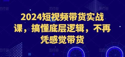 2024短视频带货实战课，搞懂底层逻辑，不再凭感觉带货-旺仔资源库