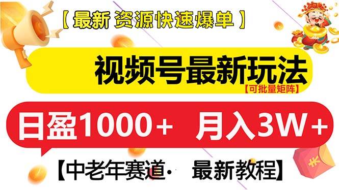 （13530期）视频号最新玩法 中老年赛道 月入3W+-旺仔资源库