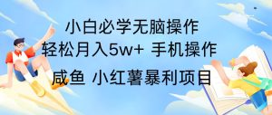 10天赚了3.6万，年前风口利润超级高，手机操作就可以，多劳多得-旺仔资源库