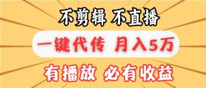 （13555期）不剪辑不直播，一键代发，月入5万懒人必备，我出视频你来发-旺仔资源库