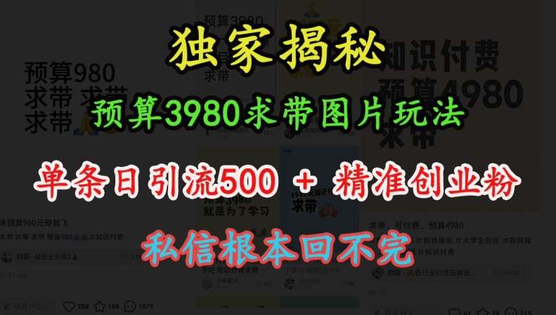 预算3980求带 图片玩法，单条日引流500+精准创业粉，私信根本回不完-旺仔资源库