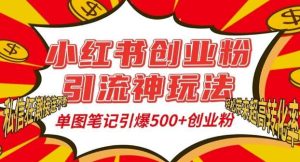 小红书创业粉引流神玩法,单图笔记引爆500+精准创业粉丝,私信狂潮接连不断-旺仔资源库