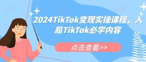 2024TikTok变现实操课程,入局TikTok必学内容-旺仔资源库