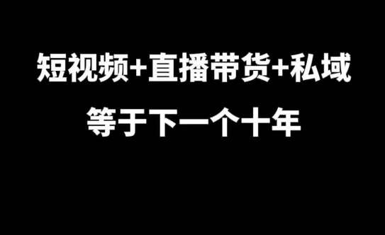 短视频+直播带货+私域等于下一个十年，大佬7年实战经验总结-旺仔资源库