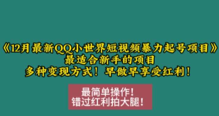 12月最新QQ小世界短视频暴力起号项目，最适合新手的项目，多种变现方式-旺仔资源库