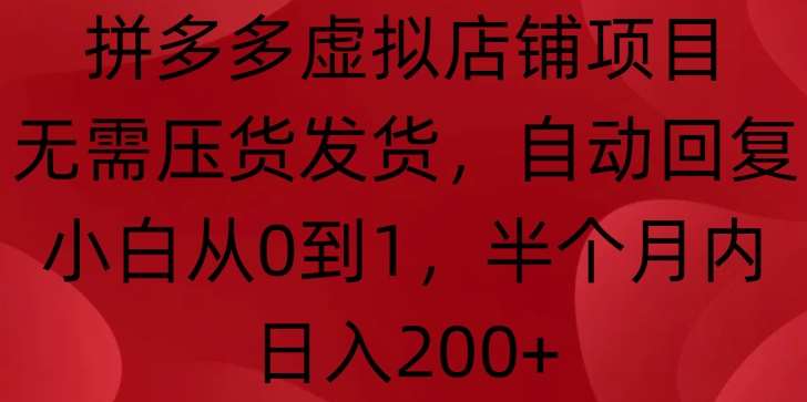 拼多多虚拟店铺项目，无需压货发货，自动回复，小白从0到1，半个月内日入200+【揭秘】-旺仔资源库