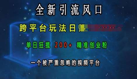 全新引流风口，跨平台玩法日入上k，单日狂揽200+精准创业粉，一个被严重忽略的视频平台-旺仔资源库