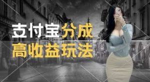 支付宝分成计划新玩法,利用交通事故视频,赚收益,轻松月入过W,操作简单【揭秘】-旺仔资源库