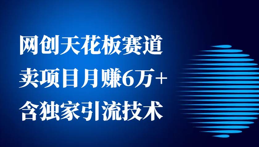 网创天花板赛道，卖项目月赚6万+，含独家引流技术（共26节课）-旺仔资源库