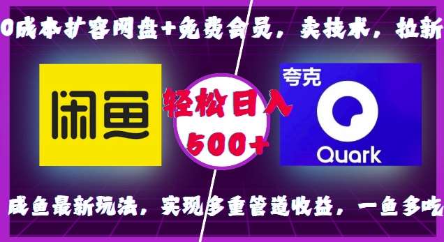 0成本扩容网盘+免费会员，卖技术，拉新，咸鱼最新玩法，实现多重管道收益，一鱼多吃，轻松日入500+-旺仔资源库